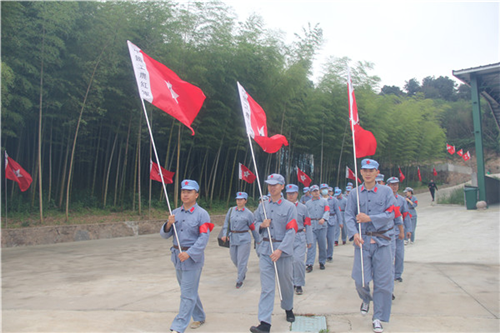 红色党建的形式都有哪些