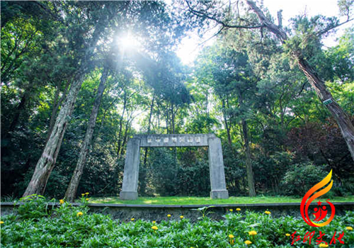 南京雨花台纪念馆党建活动方案