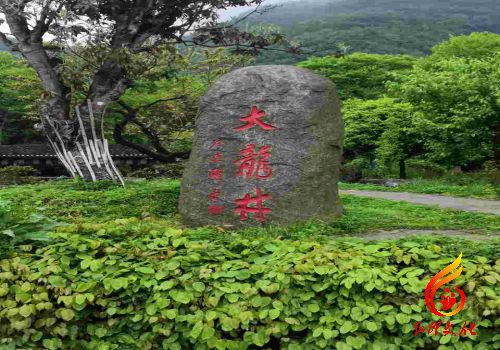 遵义党员干部党性教育的心得体会