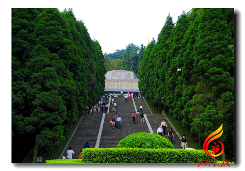 学习井冈山精神心得体会