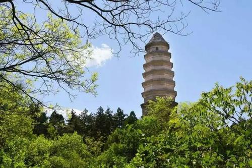 延安干部教育培训活动_学习延安精神、传承红色基因